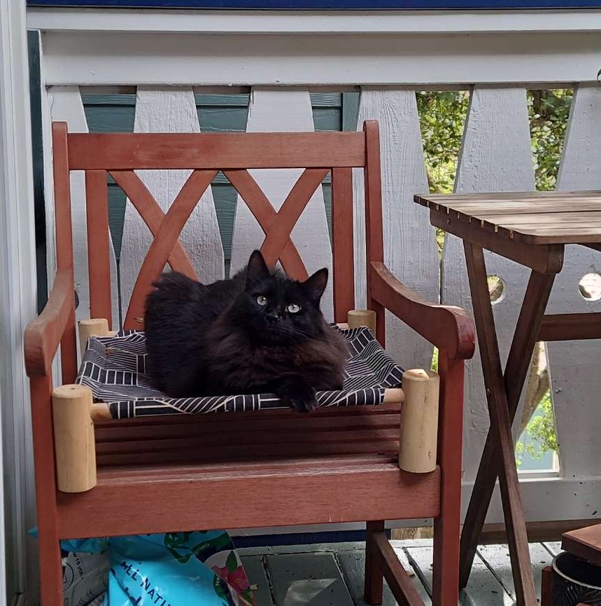 Megumi hanging out